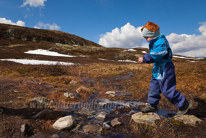 Kryssing av liten bekk fra Stormyre på tur mot Makalausfjellet fra øst-nordøst en fin forsommerdag.