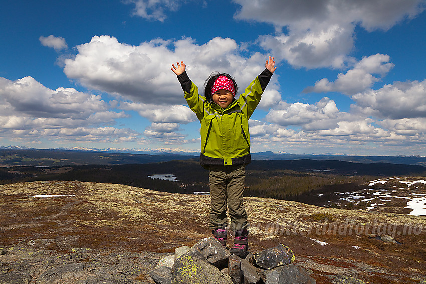 Toppjubel på toppen av Makalausfjellet (1099 moh) på grensa mellom Sør og Nord-Aurdal.