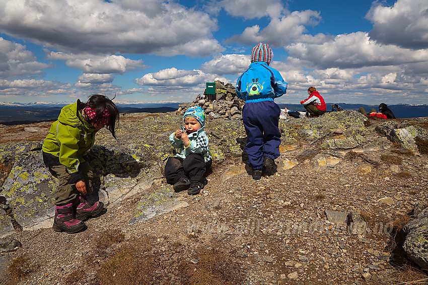 Barna leker og koser seg på toppen av Makalausfjellet (1099 moh) på grensa mellom Sør- og Nord-Aurdal.