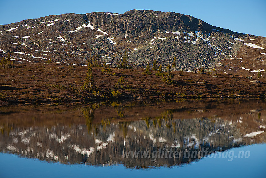 Ved det innerste av Melletjerna en fredfull sommermorgen med Skarvemellen (1267 moh) som speiler seg.