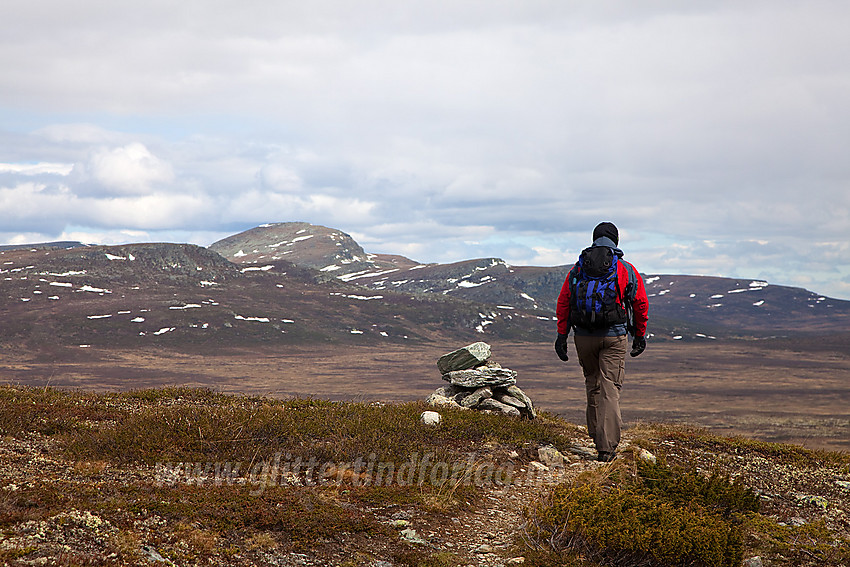 På vei tilbake fra Skaget med Søre Langsua i bakgrunnen.