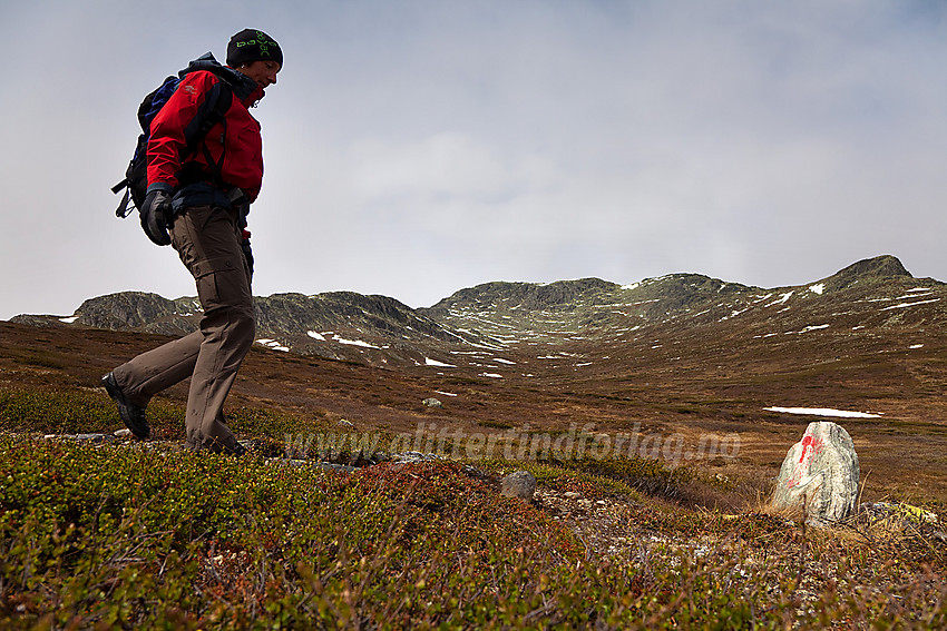 På retur fra Skaget (1685 moh) med toppen i bakgrunnen.