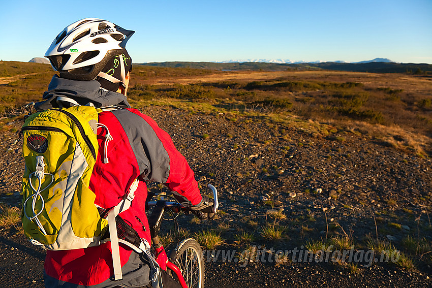 Syklist på Bjørnhovda en flott sommermorgen stirrer mot Jotunheimen og Skaget.