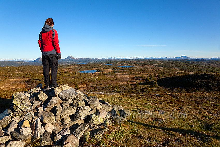 Herlig morgenpanorama fra Goaren (1070 moh) i Etnedal mot Mellane, Jotunheimen og Skaget.