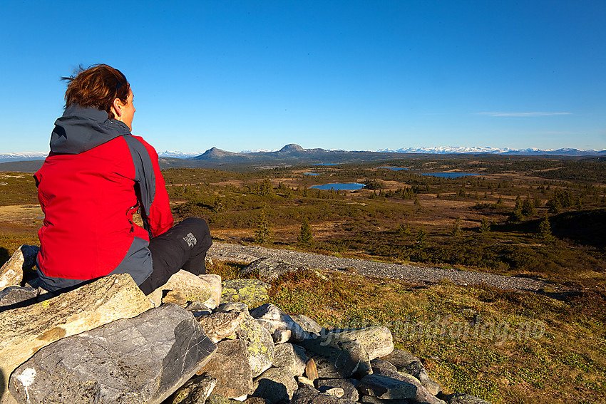 Herlig morgenpanorama fra Goaren (1070 moh) i Etnedal mot Mellane og Jotunheimen.