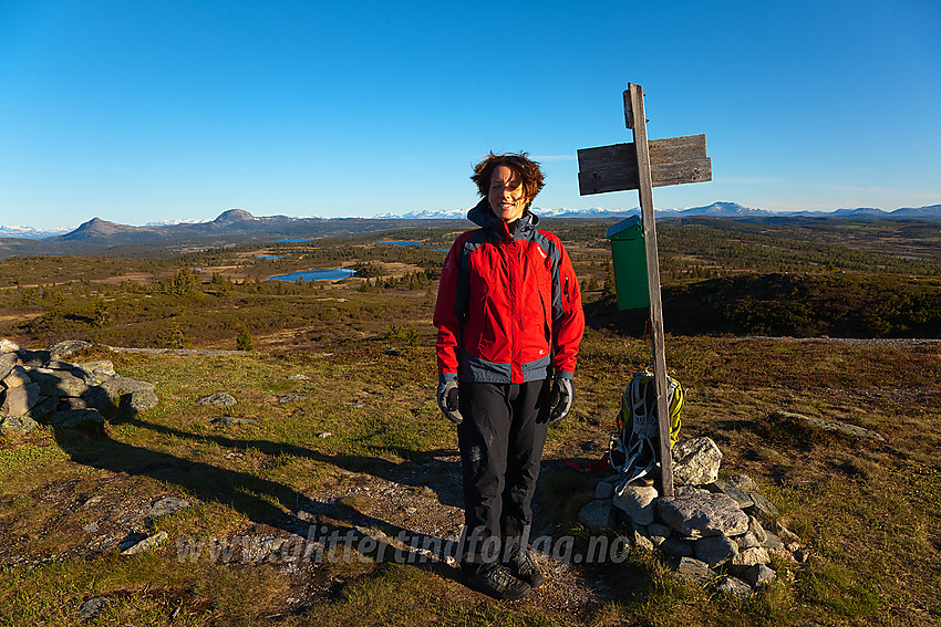 Morgenstund har gull i munn på Goaren (1070 moh) i Etnedal. I bakgrunnen bl.a. Mellene og Jotunheimen.