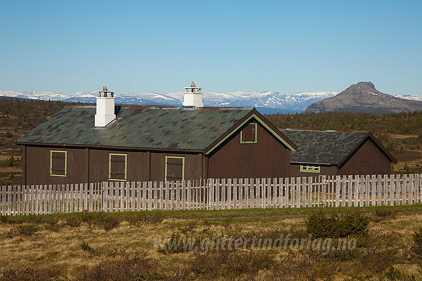 Forsommermorgen på Bjørnhovda i Nord-Aurdal. Stølen er ennå ikke tatt i bruk for sommeren og vinduslemmene er slått for. Bak til høyre ses Skarvemellen.