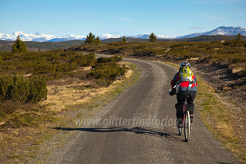 Syklist på Bjørnhovda i Nord-Aurdal en flott sommermorgen. I bakgrunnen ses Jotunheimens snøhvite tinder.