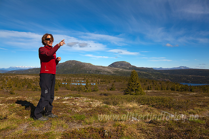 Fin sommerdag på Skardåsen i Nord-Aurdal. I bakgrunnen ses bl.a. Skarvemellen og Rundemellen.