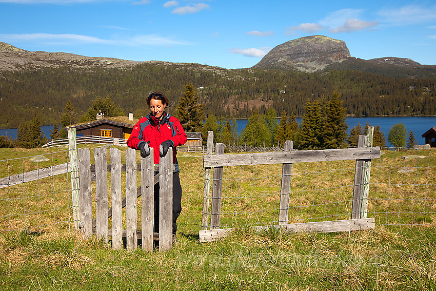 Ved Juvike med en flik av Mellsenn i bakgrunnen. Helt bakerst troner Rundemellen (1345 moh).