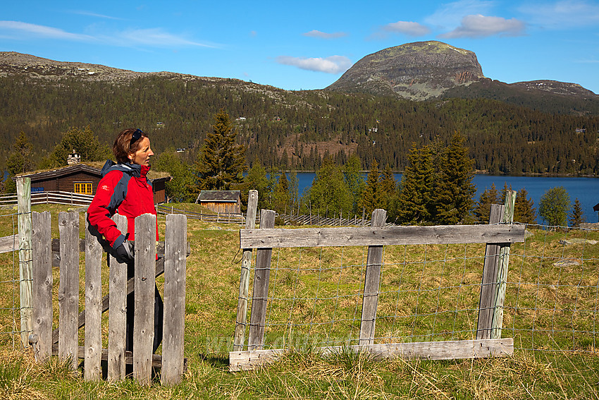 Ved Juvike med en flik av Mellsenn i bakgrunnen. Helt bakerst troner Rundemellen (1345 moh).