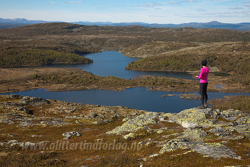 Utsikt fra Binnhovdknatten mot Kalvetjerna og Smørlifjellet.