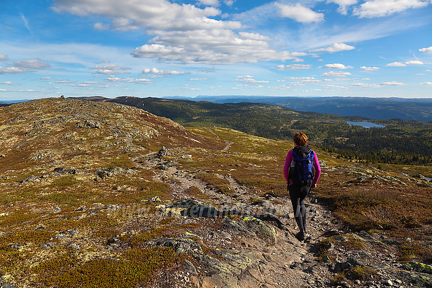 På vei østover fra Binnhovdknatten (1165 moh) med Fjellenden i bakgrunnen.