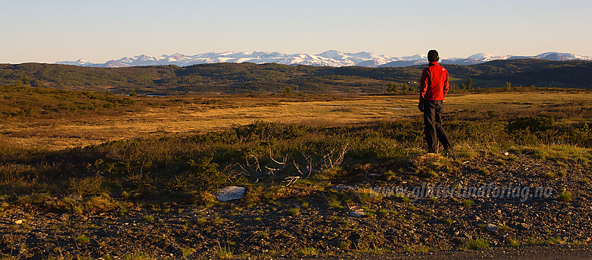 Morgenstund på Bjørnhovda i Nord-Aurdal med Jotunheimen i det fjerne.