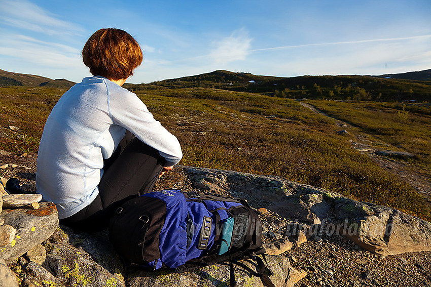 På tur fra Fjellsætra mot Spåtind en fin sommermorgen.