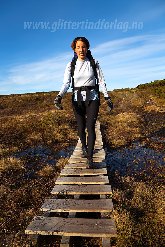 På tur fra Fjellsætra mot Spåtind en flott sommermorgen.