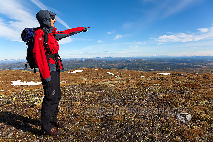 På toppen av Spåtind (1414 moh) en flott sommerdag.