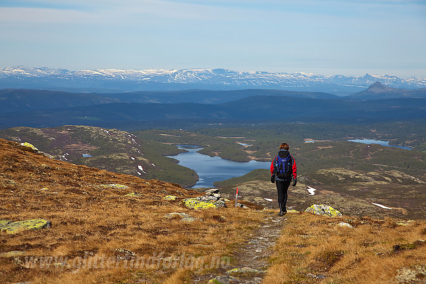 På vei fra Spåtinden ned mot Feplassen. I bakgrunnen ses Hafsenn samt snødekte fjell i Hemsedal/Vestre Slidre/Vang.