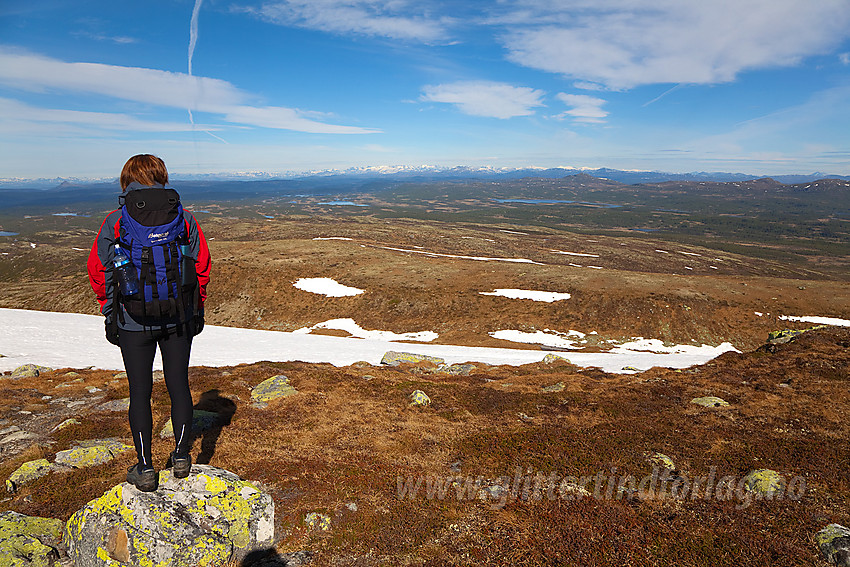 På vei fra Spåtinden (1414 moh) ned mot Feplassen. I bakgrunnen anes Jotunheimens snøhvite tinder.