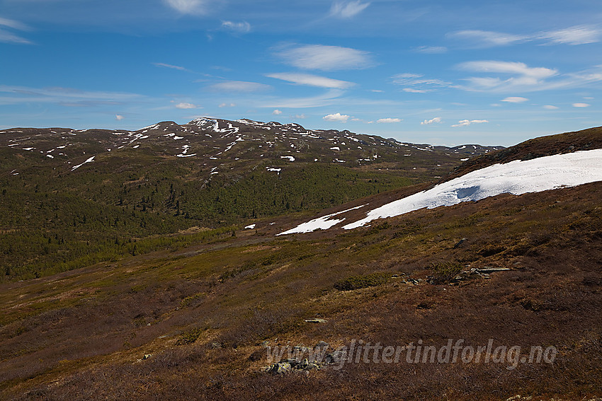 Utsikt fra Bjørnehalli mot Spåtinden (1414 moh).