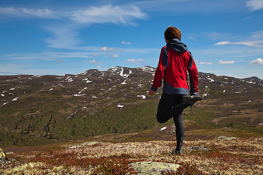 Utsikt fra Bjørnehalli mot Spåtinden (1414 moh).