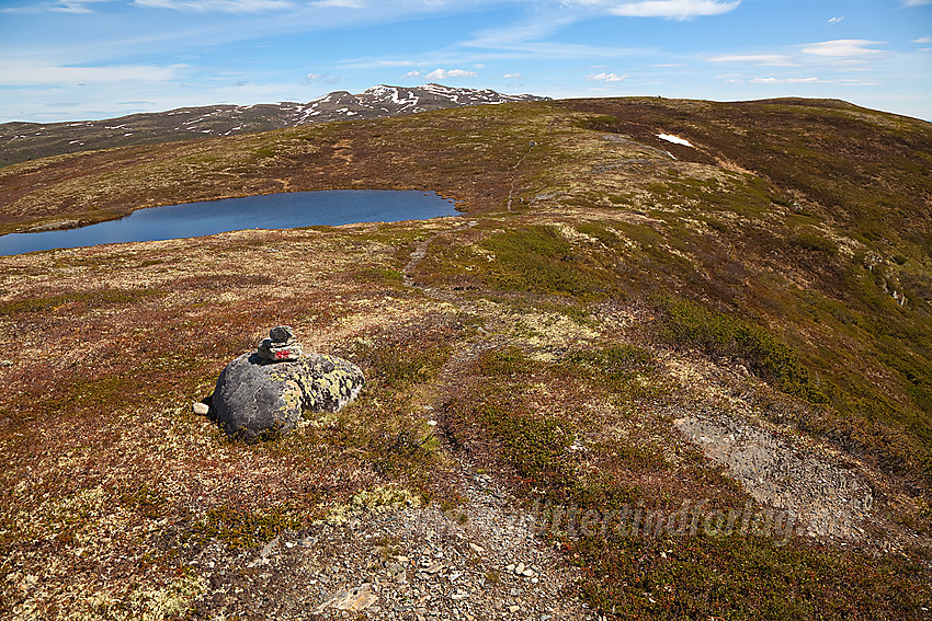 Mot Bjørnehalli (1154 moh) med Spåtinden (1414 moh) i bakgrunnen.