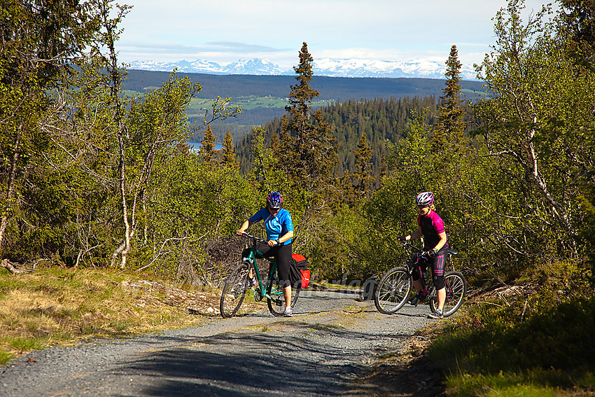 På vei opp fra Kvitingen mot Nordre Fjellstølen. Jotunheimen i det fjerne.