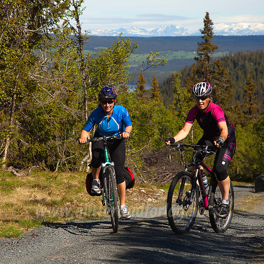 På vei opp fra Kvitingen mot Nordre Fjellstølen. Jotunheimen i det fjerne.