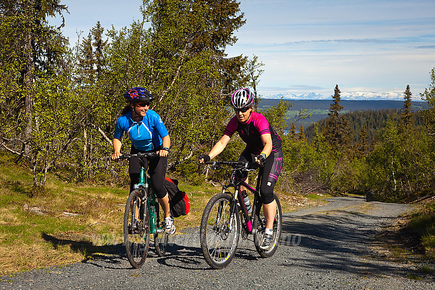 På vei opp fra Kvitingen mot Nordre Fjellstølen. Jotunheimen i det fjerne.