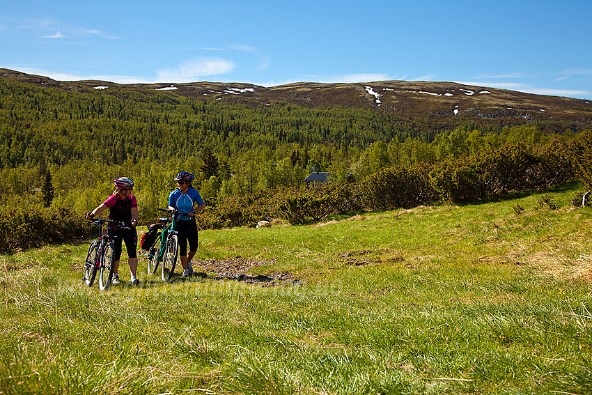 Trillestrekning forbi Huldrastølen med Haugsetfjellet (1152 moh) i bakgrunnen.