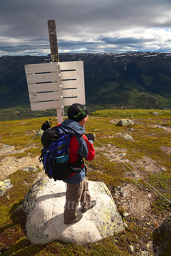 På utsiktspunktet Hestehøgda utpå stupkanten fra Manfjellet mot Aurdalsfjorden. I bakgrunnen ses Sørbølfjellet.