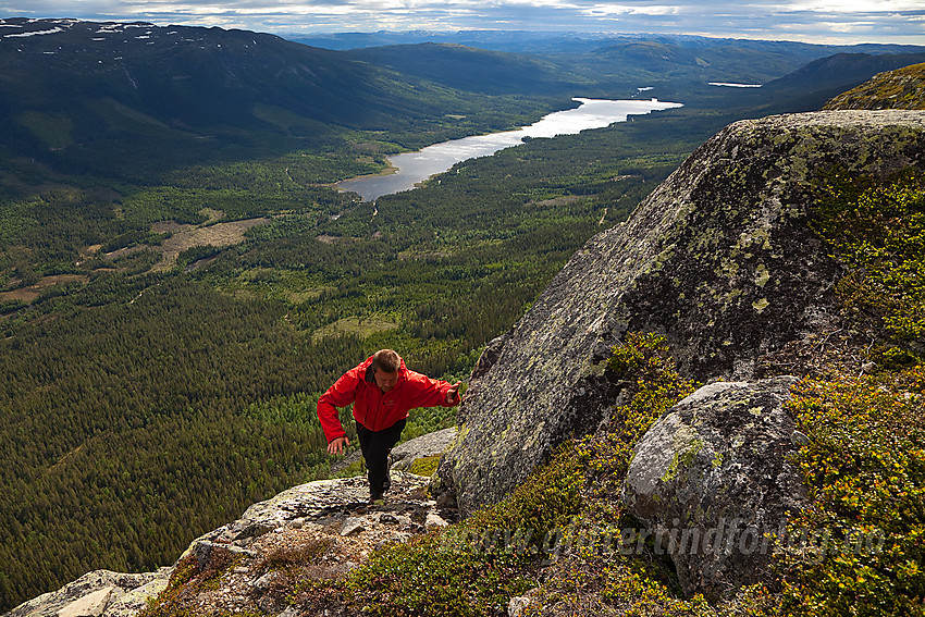 Flott utsikt fra Hestehøgda på Manfjellet innover Vassfaret med Aurdalsfjorden sentralt i bildet. Sørbølfjellet i bakgrunnen til venstre.