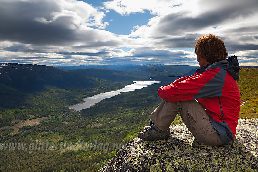 Utsikt fra Hestehøgda på Manfjellet i Vassfaret mot bl.a. Sørbølfjellet og Aurdalsfjorden.