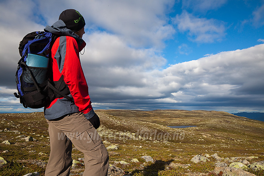 Fra Sæterknatten mot Langtjernkollen (1148 moh) på Manfjellet i Vassfaret.