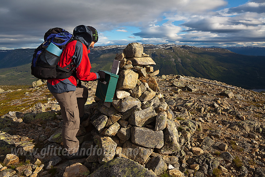 På toppen av Sæterknatten i Vassfaret en sommerettermiddag. Sørbølfjellet i bakgrunnen.