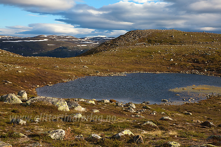 Sæterknatten (1137 moh) i Vassfaret.