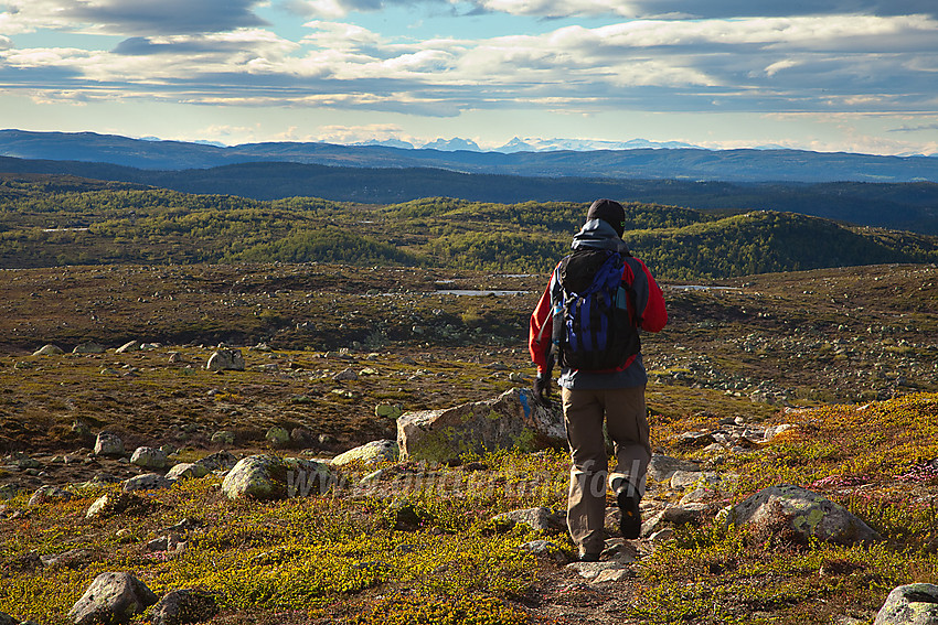 På retur fra Sæterknatten mot Fledda.