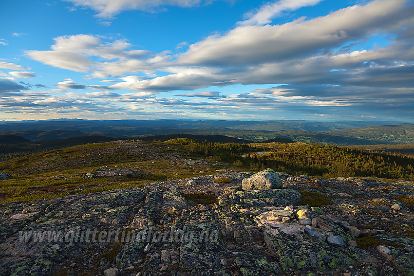 På toppen av Busufjellet (1058 moh) en sommerkveld.