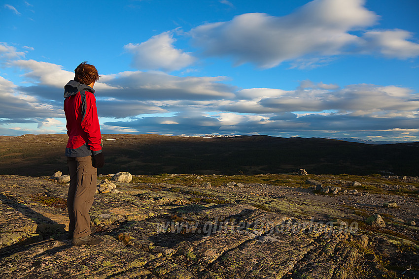 På toppen av Busufjellet (1058 moh) en sommerkveld med utsikt mot Manfjellet.