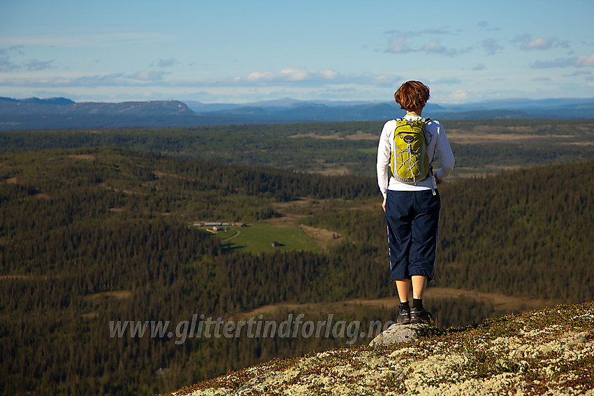 Fra Ormtjernkampen med utsikt nord-nordøstover.