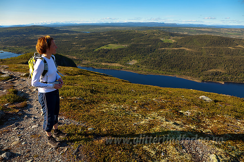 På Ormtjernkampen med utsikt til Dokkvatnet og videre i nord-nordøstlig retning. Bak til venstre anes Rondane.