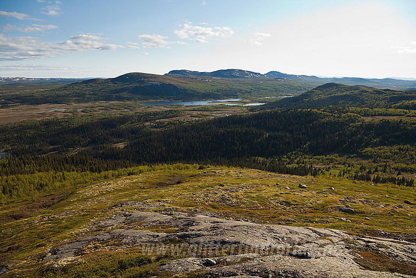 Utsikt fra Ormtjernkampen mot bl.a. Snuen (1179 moh) og Røssjøkollane (1287 moh). Djuptjernkampen lengst bak,