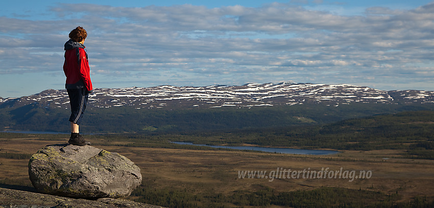 Utsikt fra Ormtjernkampen mot Synnfjell med Spåtind (1414 moh).