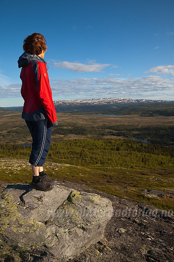 Utsikt fra Ormtjernkampen mot Synnfjell med Spåtind (1414 moh).