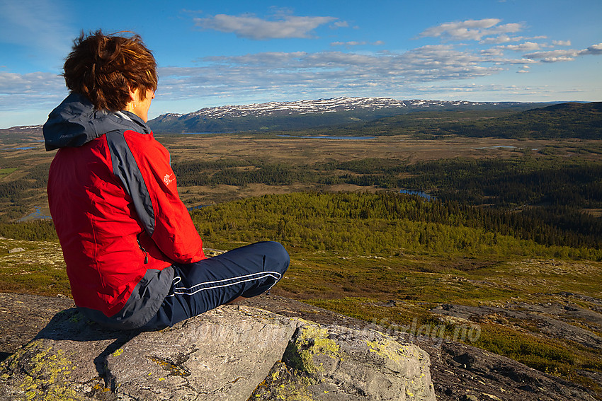 Utsikt fra Ormtjernkampen mot Synnfjell med Spåtind (1414 moh).