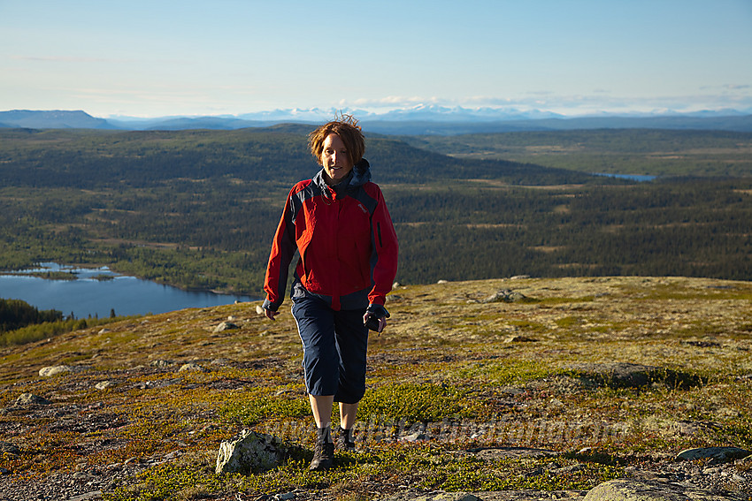 På vei de siste meterne mot toppen av Ormtjernkampen. Rondane ses i det fjerne.