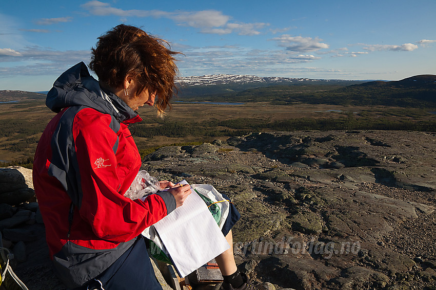 Loggbok på toppen av Ormtjernkampen (1128 moh). I bakgrunnen ses Spåtind (1414 moh).