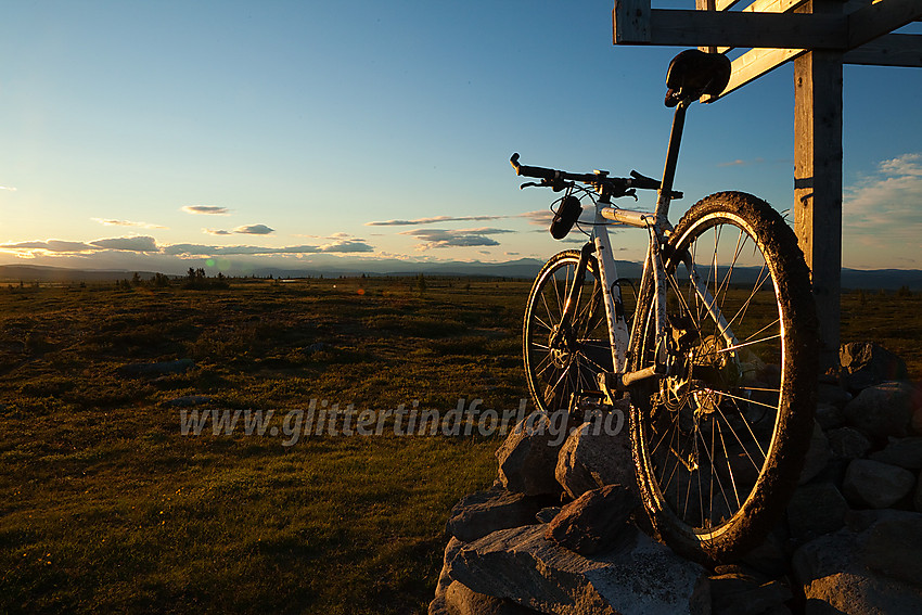 Sykkel på toppen av Gribbehaugen en sommerkveld.