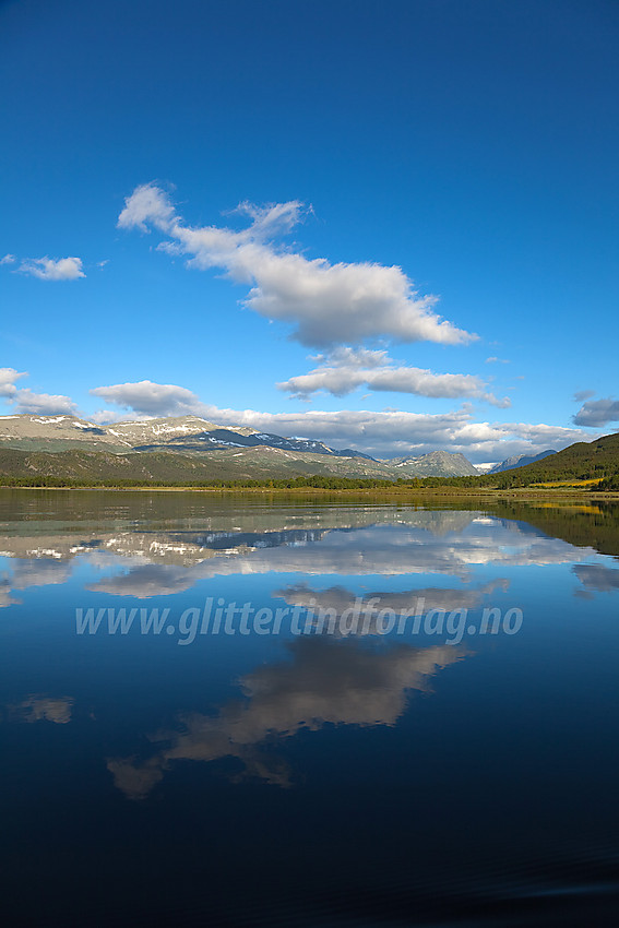 Stemningsfull sommermorgen på Bukonefjorden i Vestre Slidre med Veslebotnskarvet (1778 moh) i bakgrunnen.