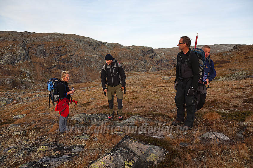 Pause i lia like ovenfor Krossbu på tur mot Veslbreatinden.